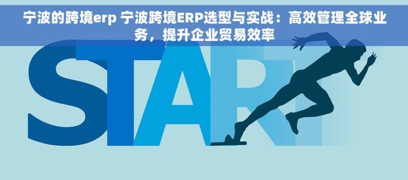 宁波的跨境erp 宁波跨境ERP选型与实战：高效管理全球业务，提升企业贸易效率