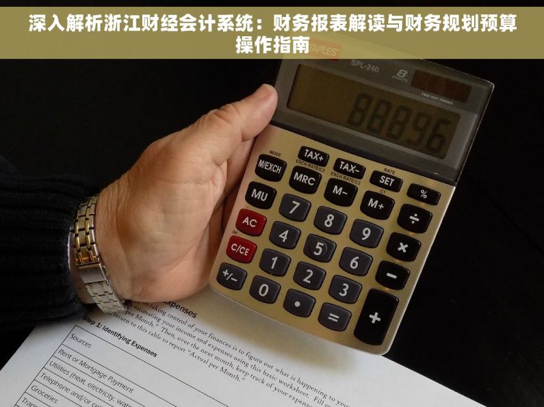 深入解析浙江财经会计系统：财务报表解读与财务规划预算操作指南