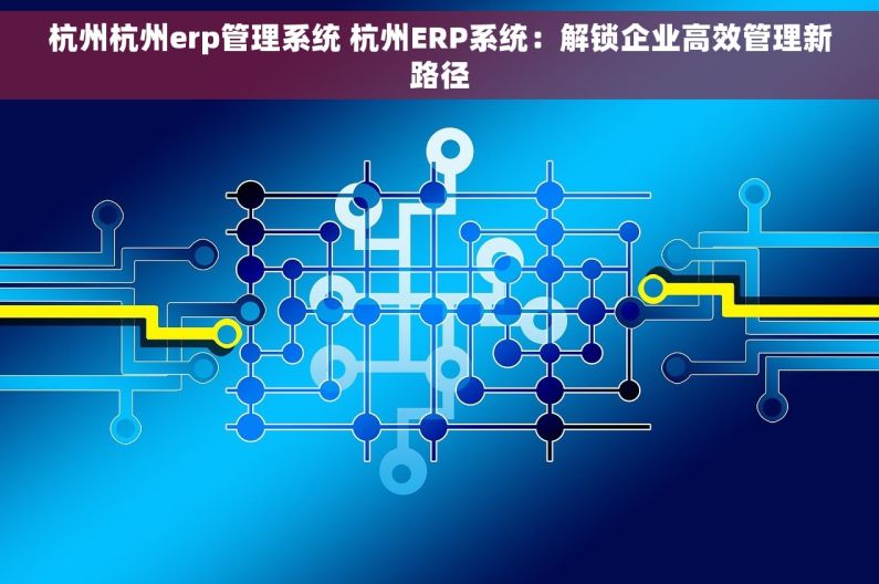 杭州杭州erp管理系统 杭州ERP系统：解锁企业高效管理新路径