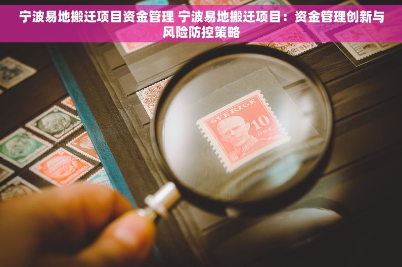 宁波易地搬迁项目资金管理 宁波易地搬迁项目：资金管理创新与风险防控策略