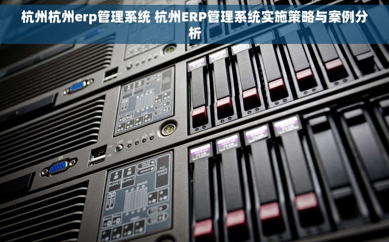 杭州杭州erp管理系统 杭州ERP管理系统实施策略与案例分析