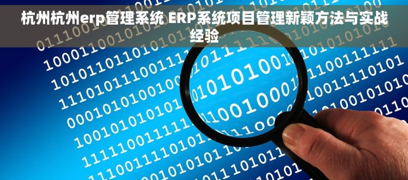 杭州杭州erp管理系统 ERP系统项目管理新颖方法与实战经验
