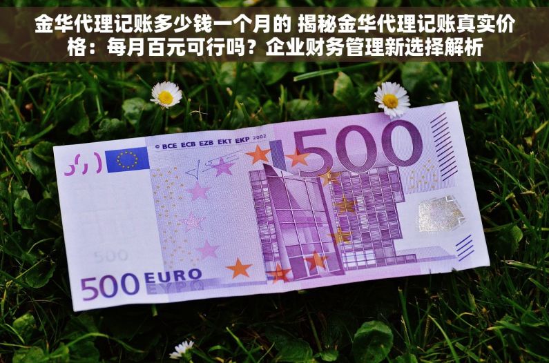 金华代理记账多少钱一个月的 揭秘金华代理记账真实价格：每月百元可行吗？企业财务管理新选择解析