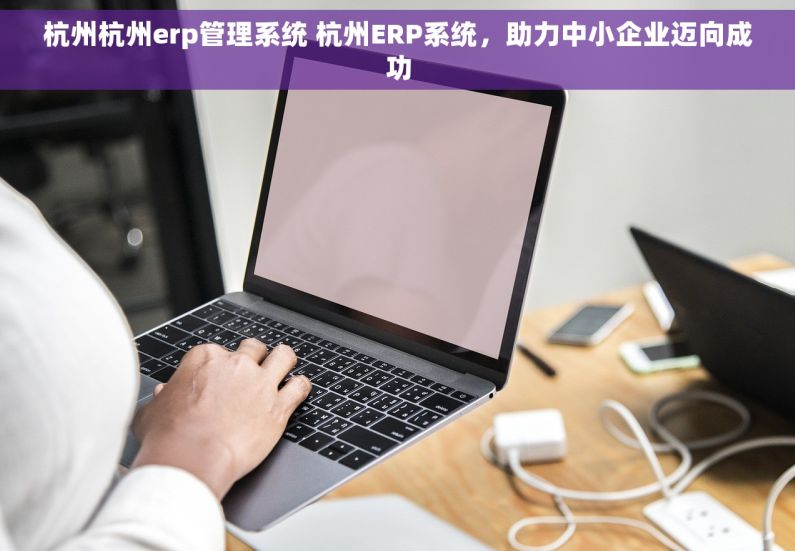 杭州杭州erp管理系统 杭州ERP系统，助力中小企业迈向成功
