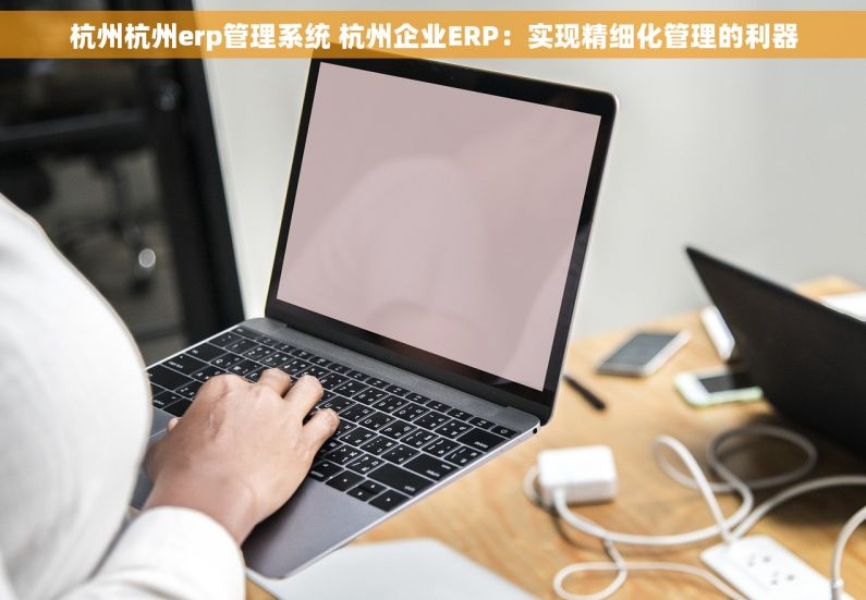 杭州杭州erp管理系统 杭州企业ERP：实现精细化管理的利器