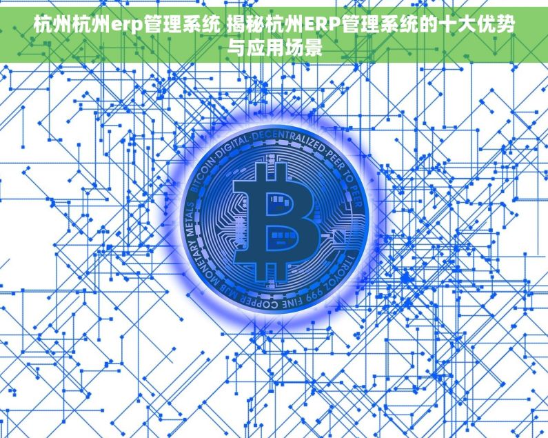 杭州杭州erp管理系统 揭秘杭州ERP管理系统的十大优势与应用场景
