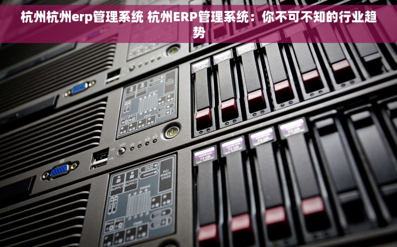 杭州杭州erp管理系统 杭州ERP管理系统：你不可不知的行业趋势