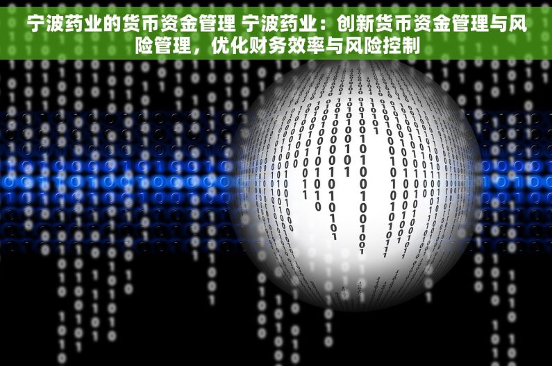 宁波药业的货币资金管理 宁波药业：创新货币资金管理与风险管理，优化财务效率与风险控制