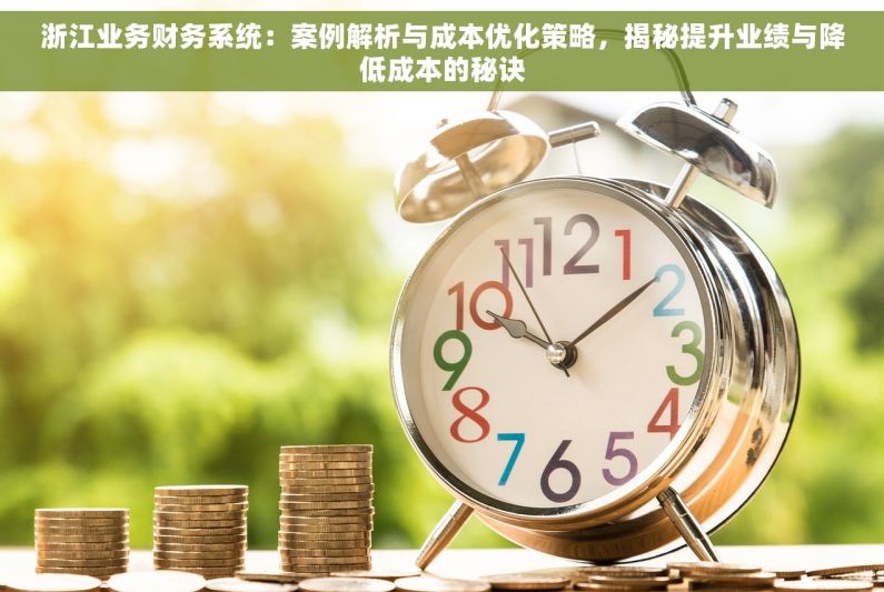 浙江业务财务系统：案例解析与成本优化策略，揭秘提升业绩与降低成本的秘诀