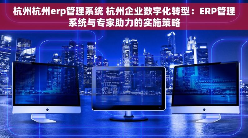 杭州杭州erp管理系统 杭州企业数字化转型：ERP管理系统与专家助力的实施策略