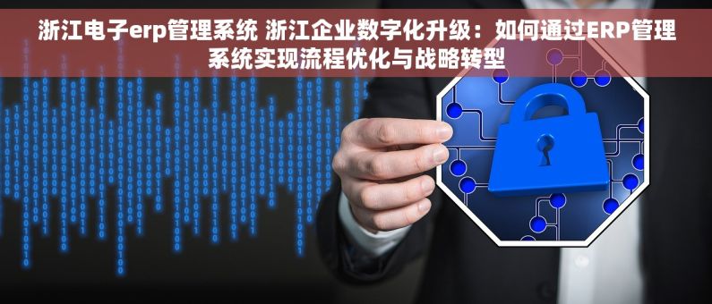 浙江电子erp管理系统 浙江企业数字化升级：如何通过ERP管理系统实现流程优化与战略转型