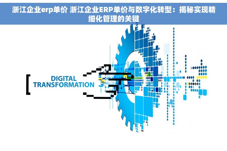 浙江企业erp单价 浙江企业ERP单价与数字化转型：揭秘实现精细化管理的关键