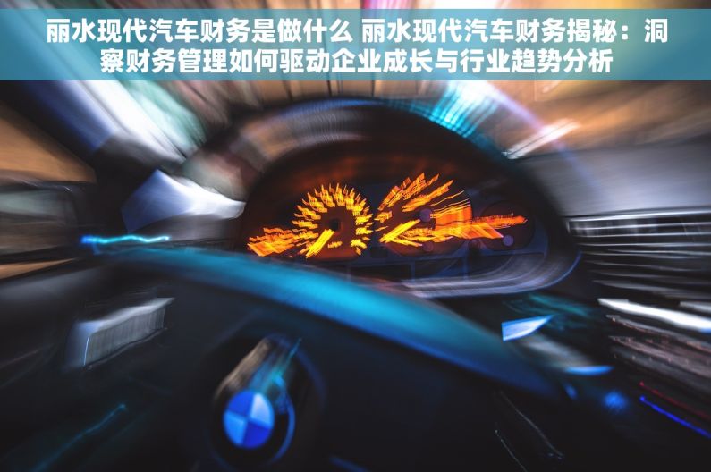 丽水现代汽车财务是做什么 丽水现代汽车财务揭秘：洞察财务管理如何驱动企业成长与行业趋势分析