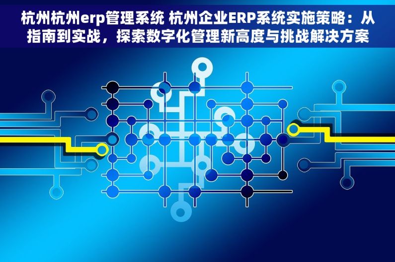 杭州杭州erp管理系统 杭州企业ERP系统实施策略：从指南到实战，探索数字化管理新高度与挑战解决方案