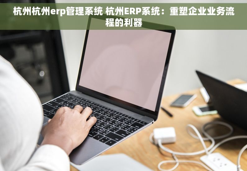 杭州杭州erp管理系统 杭州ERP系统：重塑企业业务流程的利器