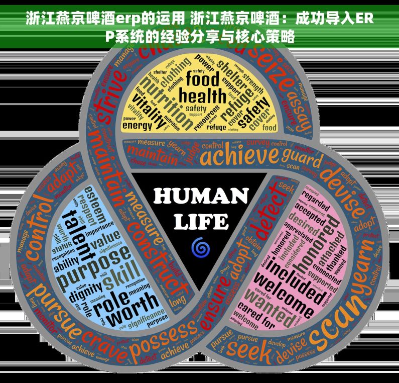 浙江燕京啤酒erp的运用 浙江燕京啤酒：成功导入ERP系统的经验分享与核心策略