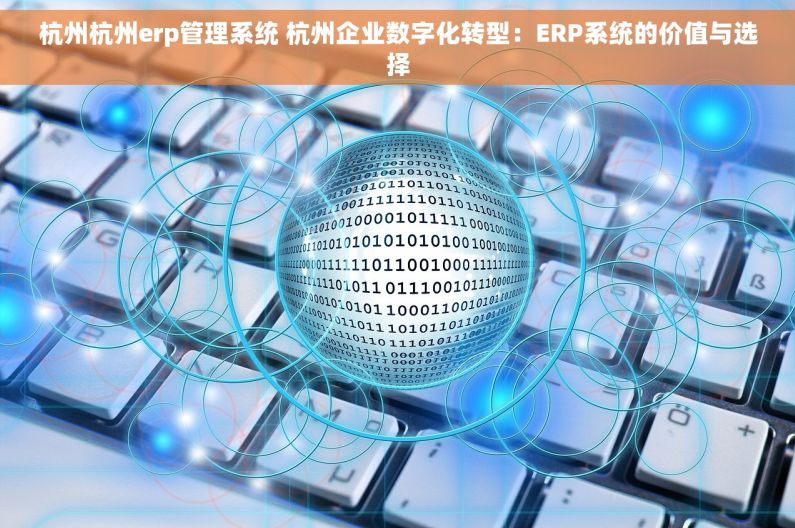 杭州杭州erp管理系统 杭州企业数字化转型：ERP系统的价值与选择