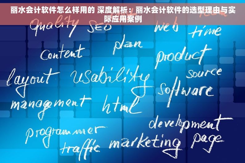 丽水会计软件怎么样用的 深度解析：丽水会计软件的选型理由与实际应用案例