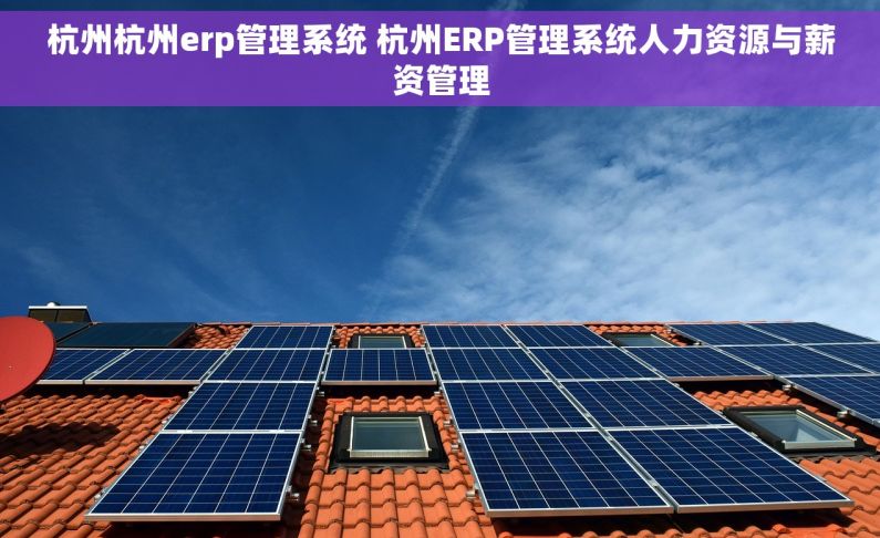 杭州杭州erp管理系统 杭州ERP管理系统人力资源与薪资管理