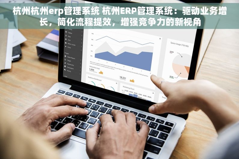 杭州杭州erp管理系统 杭州ERP管理系统：驱动业务增长，简化流程提效，增强竞争力的新视角