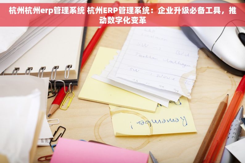 杭州杭州erp管理系统 杭州ERP管理系统：企业升级必备工具，推动数字化变革