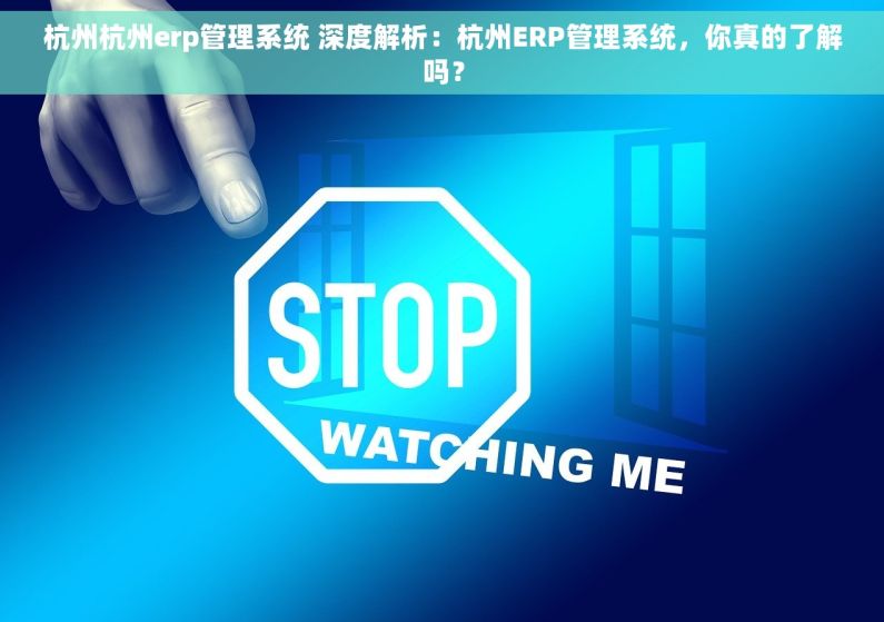 杭州杭州erp管理系统 深度解析：杭州ERP管理系统，你真的了解吗？