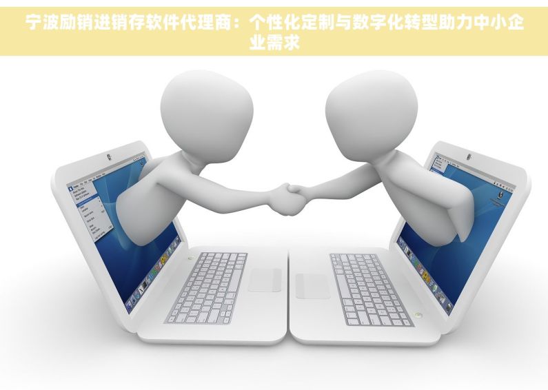 宁波励销进销存软件代理商：个性化定制与数字化转型助力中小企业需求