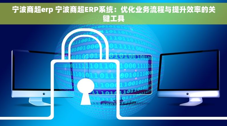 宁波商超erp 宁波商超ERP系统：优化业务流程与提升效率的关键工具