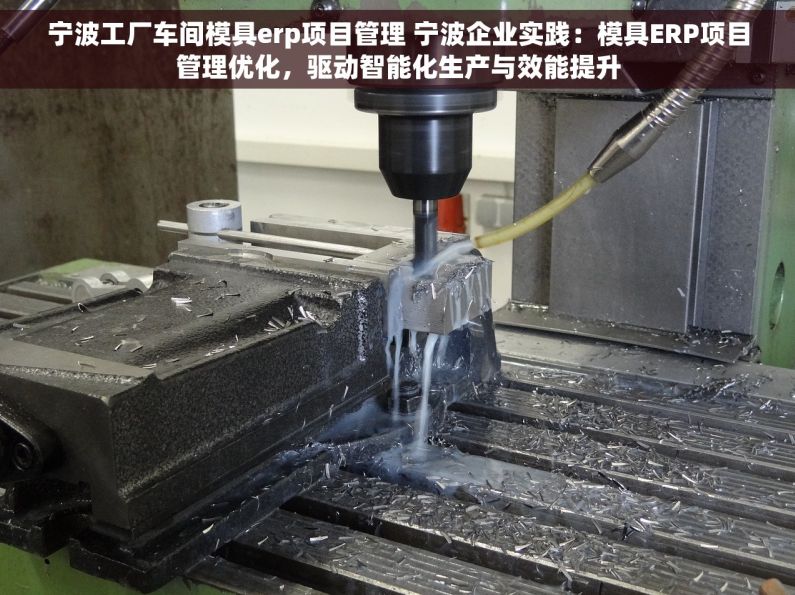 宁波工厂车间模具erp项目管理 宁波企业实践：模具ERP项目管理优化，驱动智能化生产与效能提升