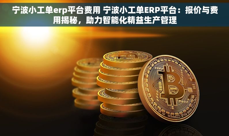 宁波小工单erp平台费用 宁波小工单ERP平台：报价与费用揭秘，助力智能化精益生产管理