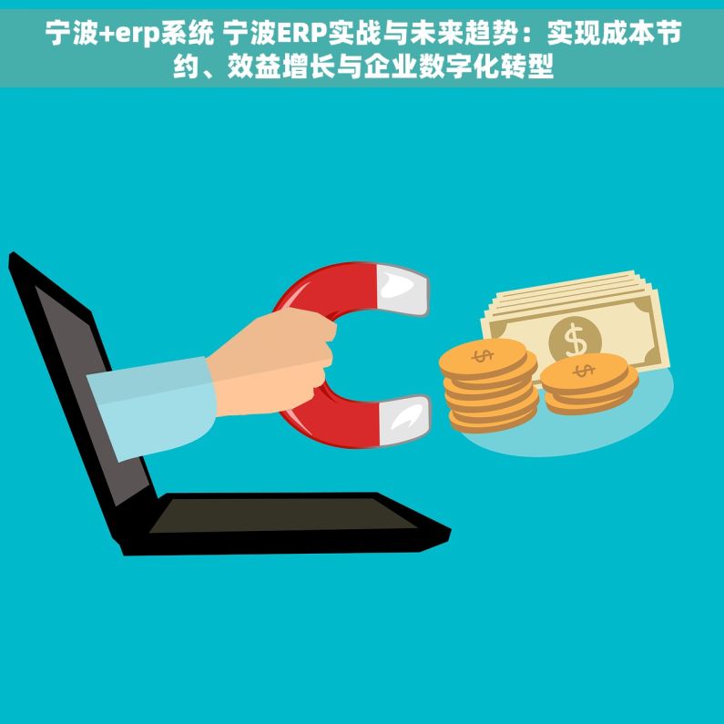宁波+erp系统 宁波ERP实战与未来趋势：实现成本节约、效益增长与企业数字化转型