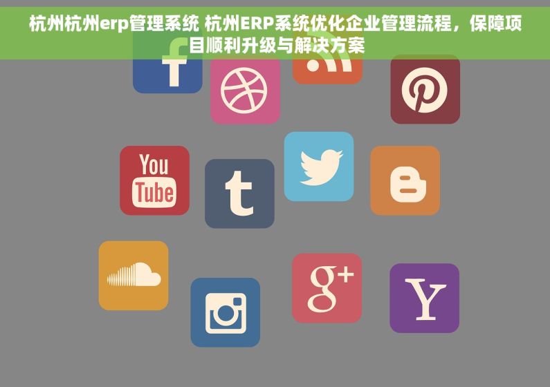 杭州杭州erp管理系统 杭州ERP系统优化企业管理流程，保障项目顺利升级与解决方案