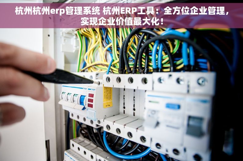 杭州杭州erp管理系统 杭州ERP工具：全方位企业管理，实现企业价值最大化！