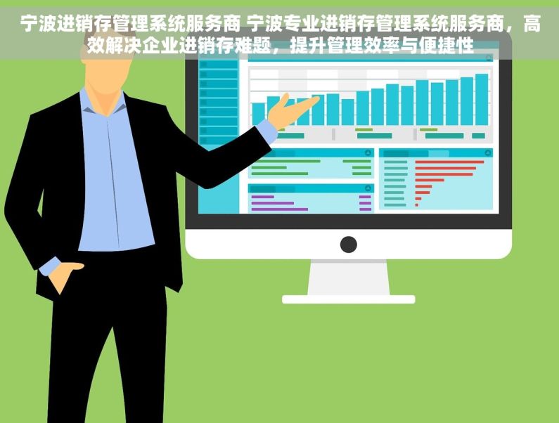 宁波进销存管理系统服务商 宁波专业进销存管理系统服务商，高效解决企业进销存难题，提升管理效率与便捷性