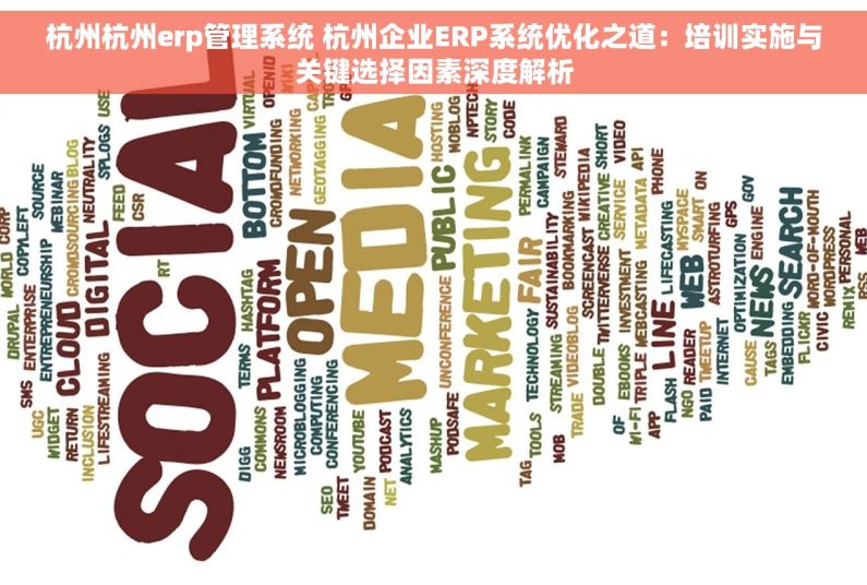 杭州杭州erp管理系统 杭州企业ERP系统优化之道：培训实施与关键选择因素深度解析