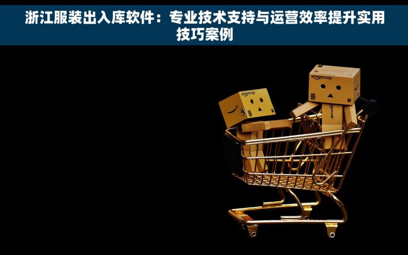 浙江服装出入库软件：专业技术支持与运营效率提升实用技巧案例