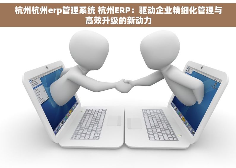 杭州杭州erp管理系统 杭州ERP：驱动企业精细化管理与高效升级的新动力