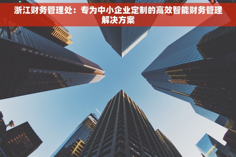 浙江财务管理处：专为中小企业定制的高效智能财务管理解决方案