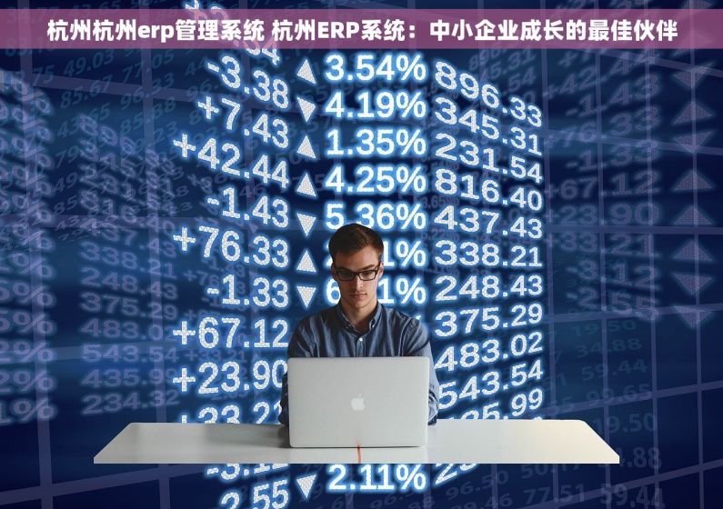 杭州杭州erp管理系统 杭州ERP系统：中小企业成长的最佳伙伴