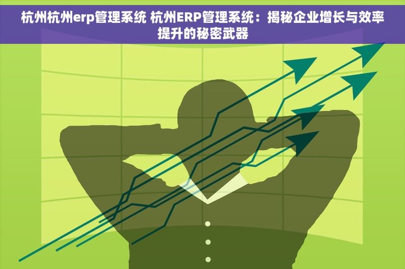杭州杭州erp管理系统 杭州ERP管理系统：揭秘企业增长与效率提升的秘密武器