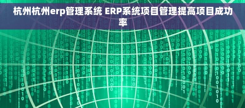 杭州杭州erp管理系统 ERP系统项目管理提高项目成功率