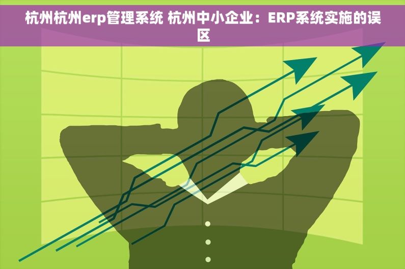 杭州杭州erp管理系统 杭州中小企业：ERP系统实施的误区