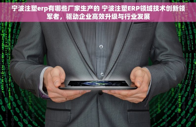 宁波注塑erp有哪些厂家生产的 宁波注塑ERP领域技术创新领军者，驱动企业高效升级与行业发展