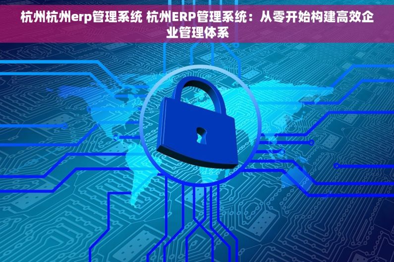杭州杭州erp管理系统 杭州ERP管理系统：从零开始构建高效企业管理体系