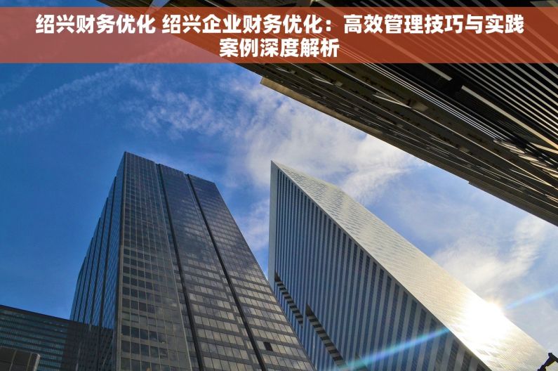 绍兴财务优化 绍兴企业财务优化：高效管理技巧与实践案例深度解析
