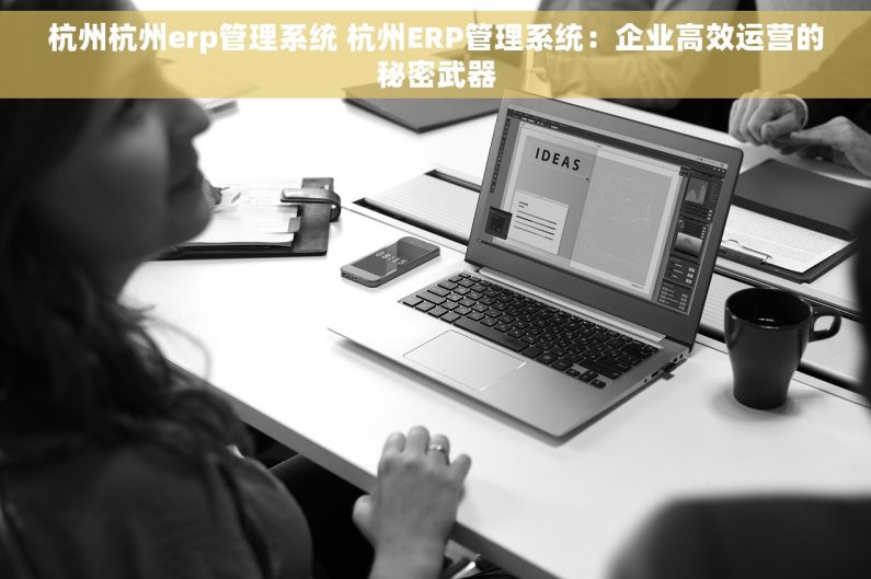 杭州杭州erp管理系统 杭州ERP管理系统：企业高效运营的秘密武器