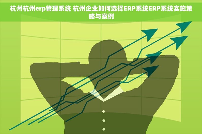 杭州杭州erp管理系统 杭州企业如何选择ERP系统ERP系统实施策略与案例