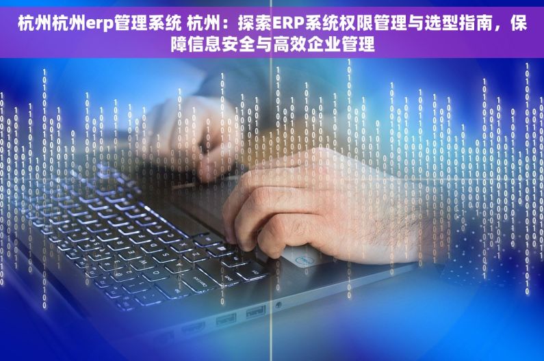 杭州杭州erp管理系统 杭州：探索ERP系统权限管理与选型指南，保障信息安全与高效企业管理