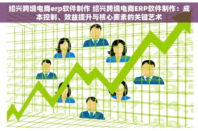 绍兴跨境电商erp软件制作 绍兴跨境电商ERP软件制作：成本控制、效益提升与核心要素的关键艺术