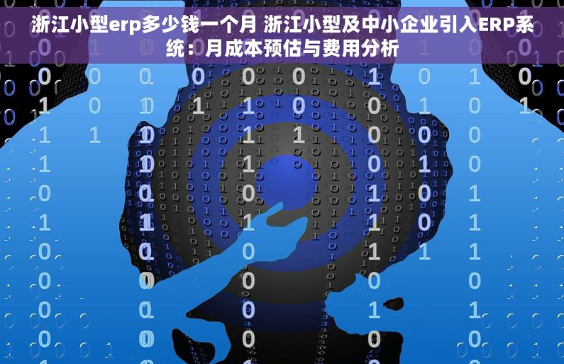 浙江小型erp多少钱一个月 浙江小型及中小企业引入ERP系统：月成本预估与费用分析